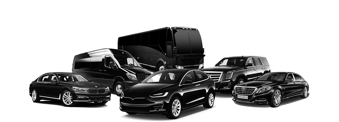 TRANSFER & TRANSPORTATİON 