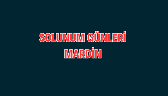 MARDİN - SOLUNUM GÜNLERİ 