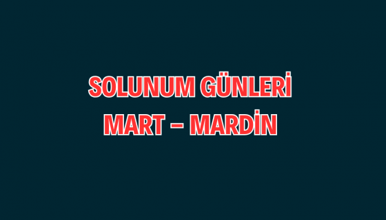 SOLUNUM GÜNLERİ MARDİN - MART 
